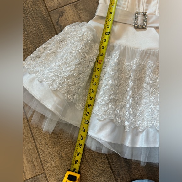 Vintage Jessica McClintock for Gunne Sax tulled roses mini dress - Picture 14 of 14